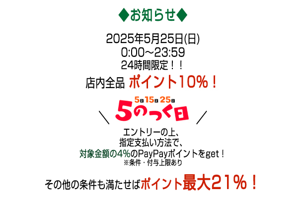 キャンペーンテキスト