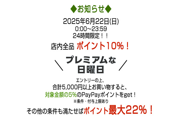 キャンペーンテキスト