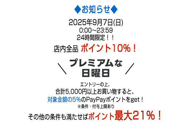 キャンペーンテキスト