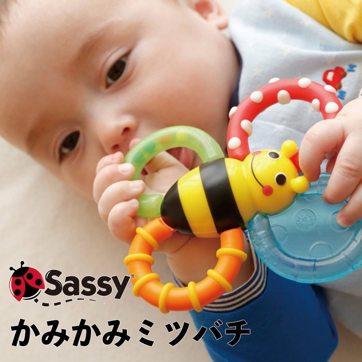 sassy toy company