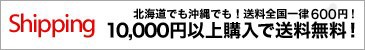 10,800円以上購入で送料無料！