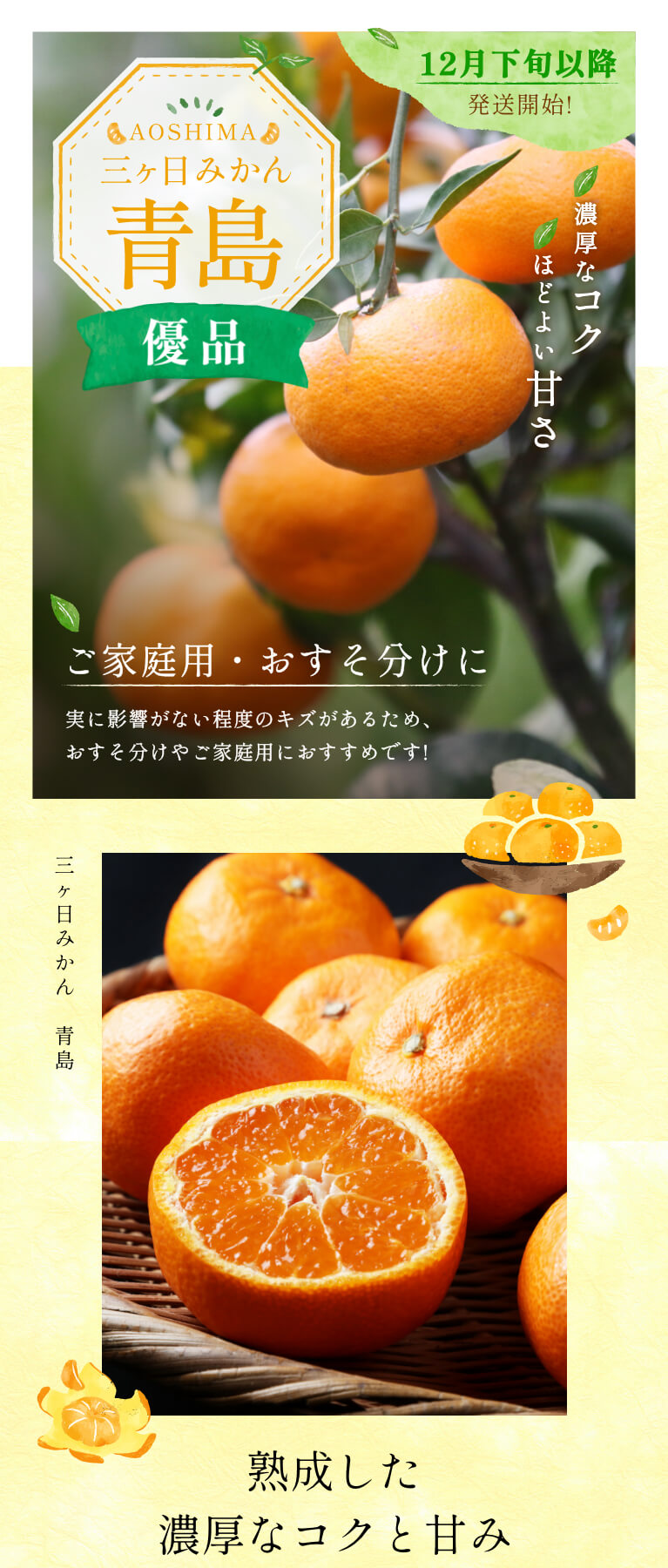 送料無料】三ヶ日みかん 青島濃厚熟みかん 8kg （S〜LLミックスサイズ）（優品相当） ご家族で大満足の大容量！【三ケ日みかん農家直送】 : 004  : 浜名湖産直マーケット - 通販 - Yahoo!ショッピング