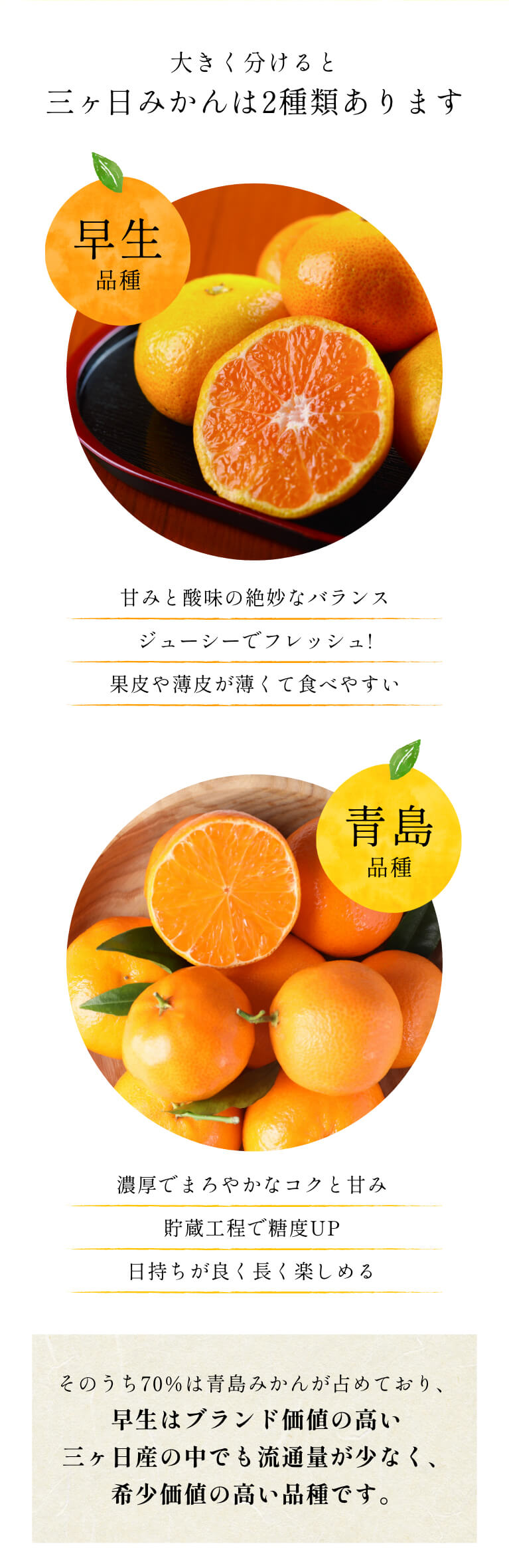 三ヶ日青島みかん　みかん　8kg ミカン　三ヶ日みかん 三ヶ日青島みかん（優品）M 8kg JAみっかび: しずおか『手しお屋
