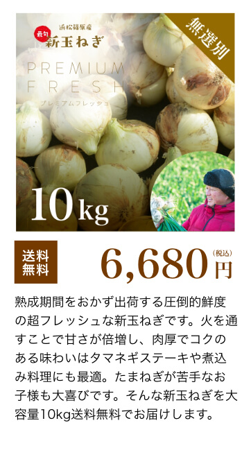  浜松産新玉ねぎ 10kg