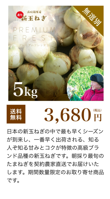  浜松産新玉ねぎ 5kg