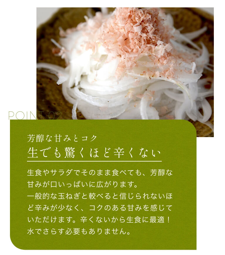 たまねぎ 白玉ねぎ 浜松篠原産【無選別】新白玉ねぎプレミアム