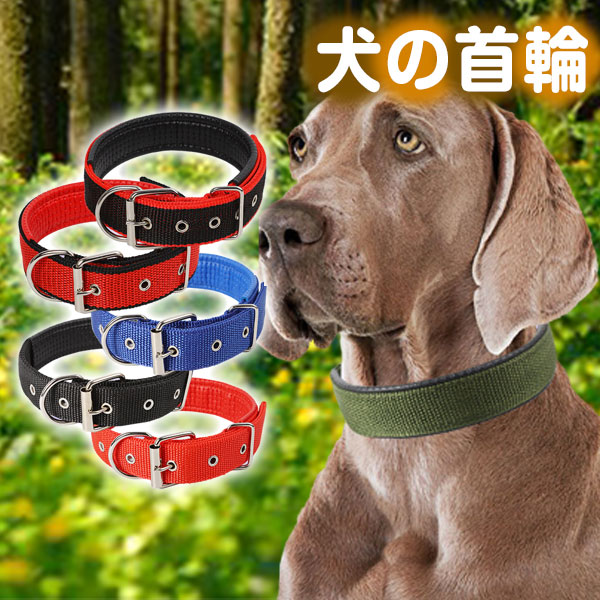 犬 首輪 カラー 犬用 首輪 軽い 中型犬 大型犬 超大型犬 小型犬 おしゃれ 痛くない ソフトパッド メッシュ 丈夫 カラー 送料無料  :02feb23pxq10:大福亭 通販 