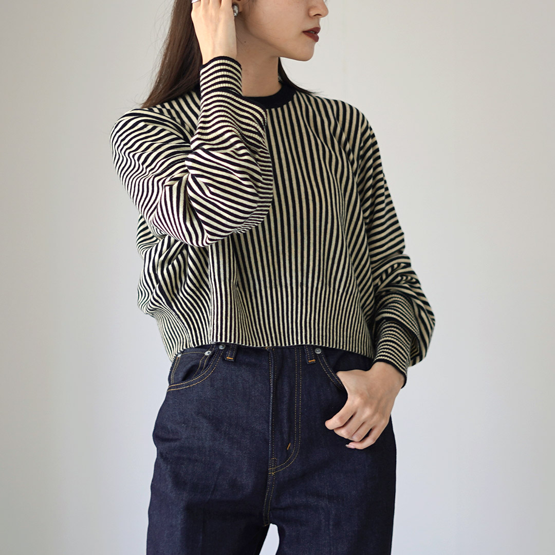 A CCORDION（アコーディオン） タック プルオーバー / レディース