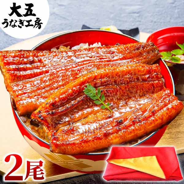 国産うなぎ 長蒲焼2尾 