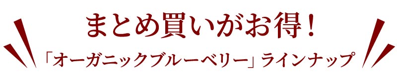 まとめ買いがお得！オーガニックブルーベリーラインナップ