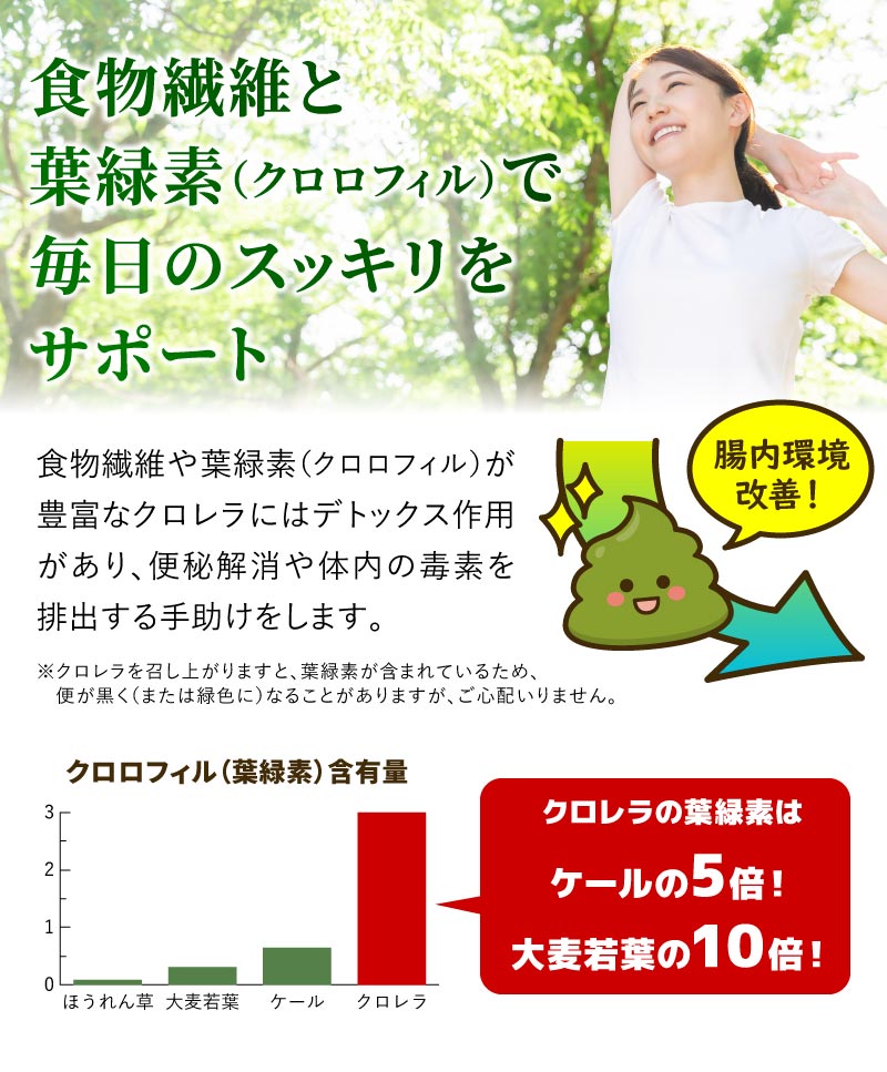 腸内環境改善