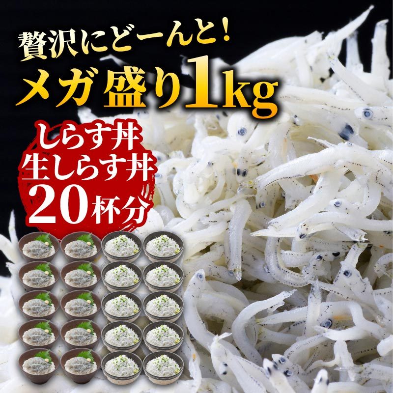 鮮度抜群！静岡県産 生しらす＆釜揚げしらす1kgセット シラス