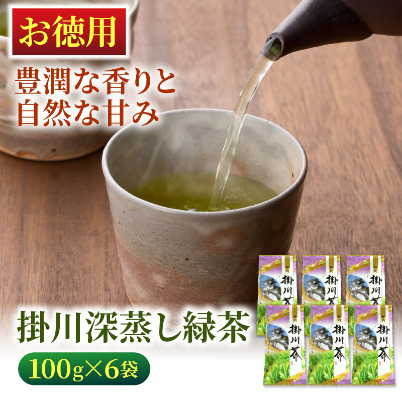 お徳用 掛川深蒸し緑茶（紫）100g×6袋 緑茶 お茶 静岡茶 煎茶 深蒸し茶