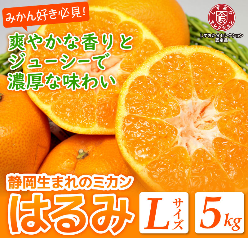 静岡県産 JAしみず はるみ 5kg Lサイズ みかん ミカン 蜜柑 ポンカン ぽんかん 清水 はるみみかん 送料無料