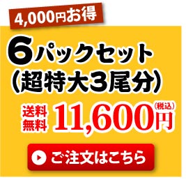 6パック