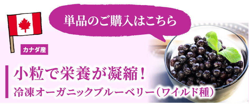 単品でのご購入はこちら！オーガニックワイルドブルーベリーラインナップ
