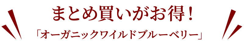 オーガニックブルーベリーラインナップ