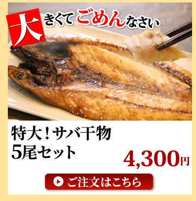 特大干物サバ5尾