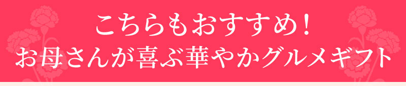 こちらもおすすめ