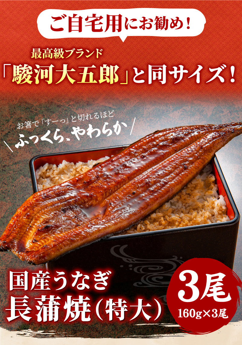 国産うなぎ長蒲焼（特大）3尾