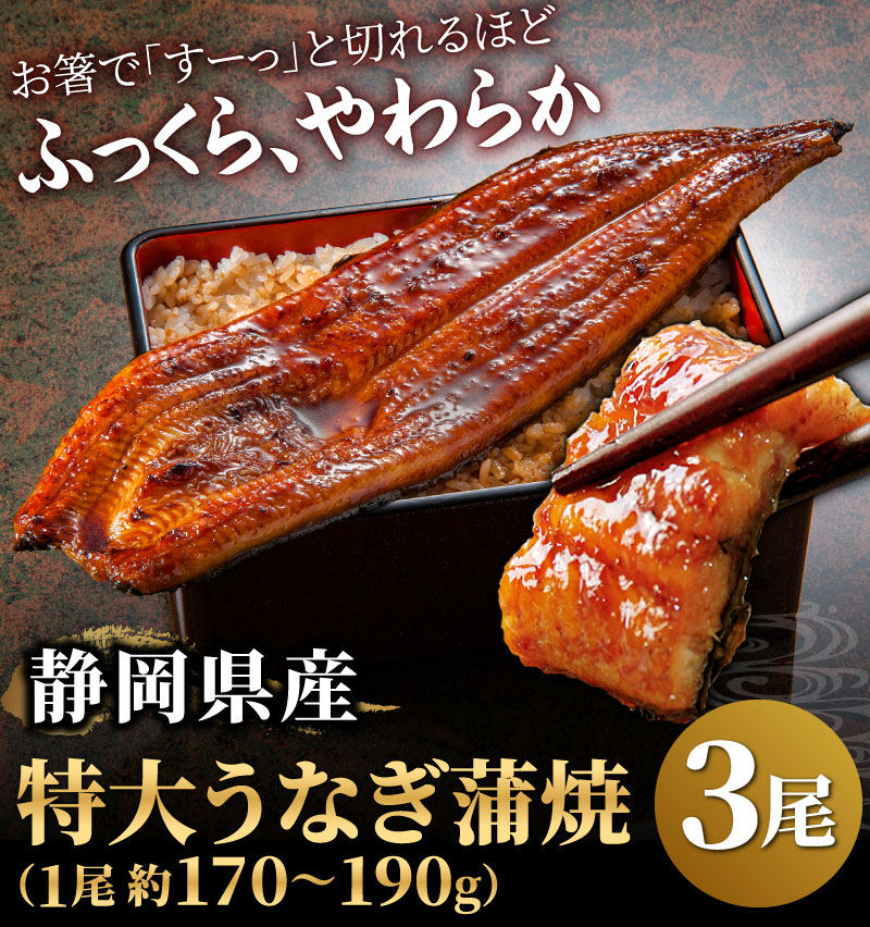 静岡県産うなぎ蒲焼 特大 3尾セット 国産 うなぎ 鰻 ウナギ 21 グルメ 国内産 60代 70代 80代 大五うなぎ工房 通販 Paypayモール
