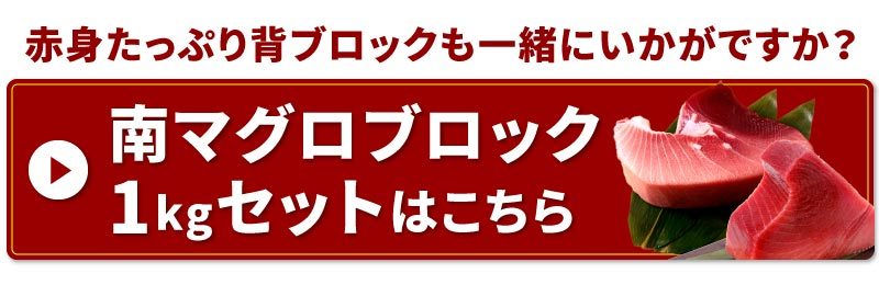 訳あり 天然南マグロ大トロ付きブロック500g 冷凍 ミナミマグロ インドマグロ インド鮪 まぐろ 鮪 刺身 大トロ 中トロ 赤身 天身 送料無料 大五うなぎ工房 通販 Paypayモール
