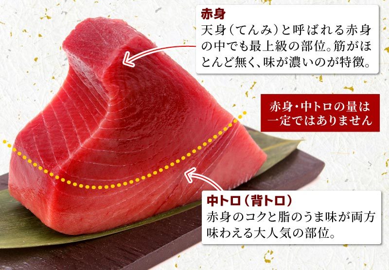 訳あり】天然南マグロ背ブロック500g 冷凍 ミナミマグロ インドマグロ