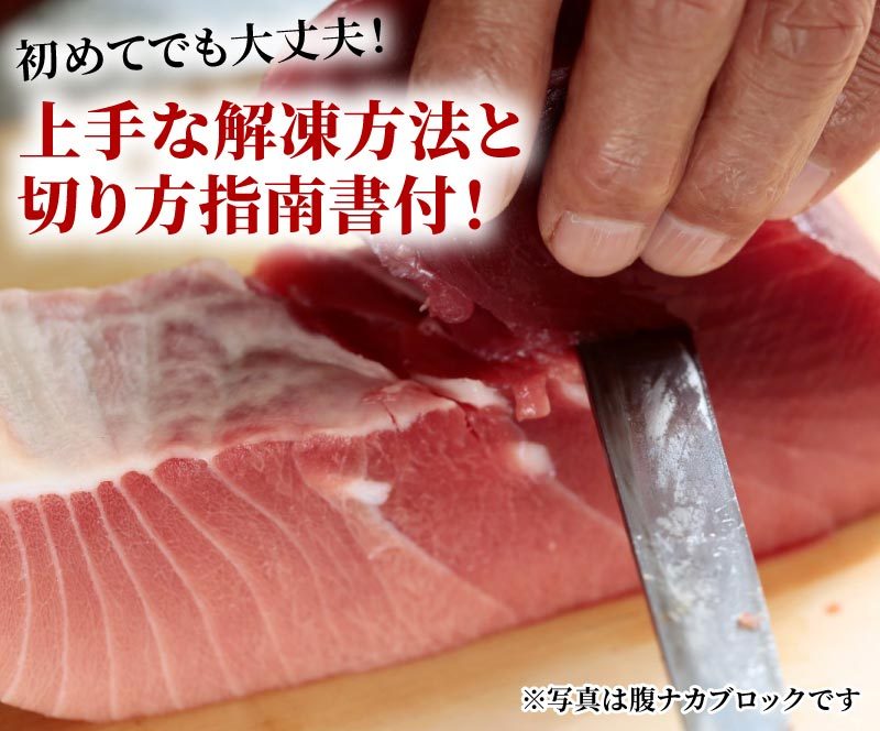 訳あり】天然南マグロ背ブロック500g 冷凍 ミナミマグロ インドマグロ