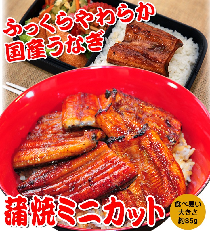 国産 うなぎ蒲焼 ミニカット 15パックセット 簡易箱 うなぎ 鰻 ウナギ 冷凍 送料無料 お弁当 うな丼 蒲焼き 個包装 小分け 大容量  :m003:大五うなぎ工房 - 通販 - Yahoo!ショッピング