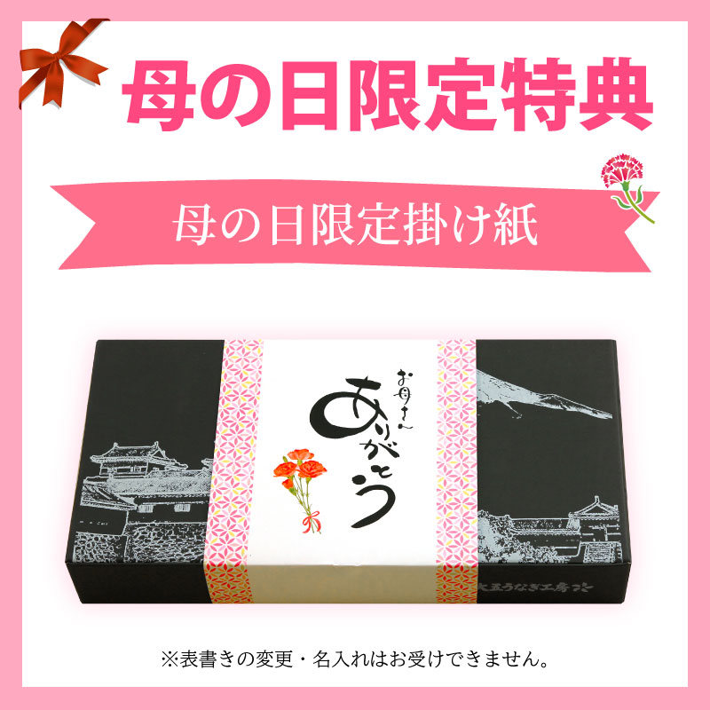 母の日用掛け紙