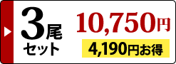 3尾