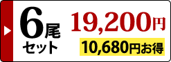 6尾