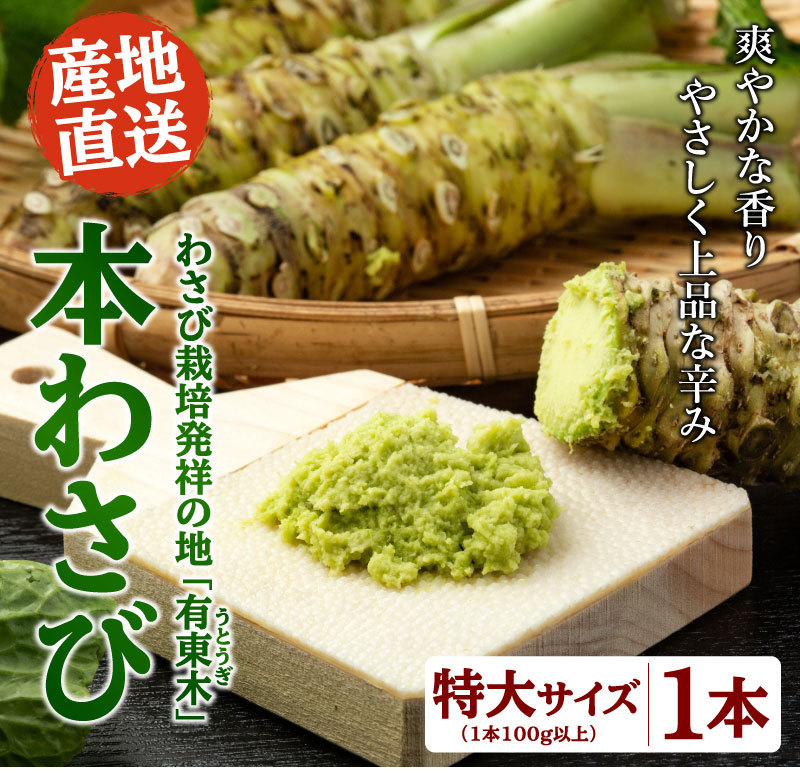 特大1本