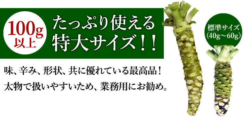 99%OFF!】 ホール 袋 50g GABAN タラゴンみじん切り ギャバン 中華、エスニック調味料