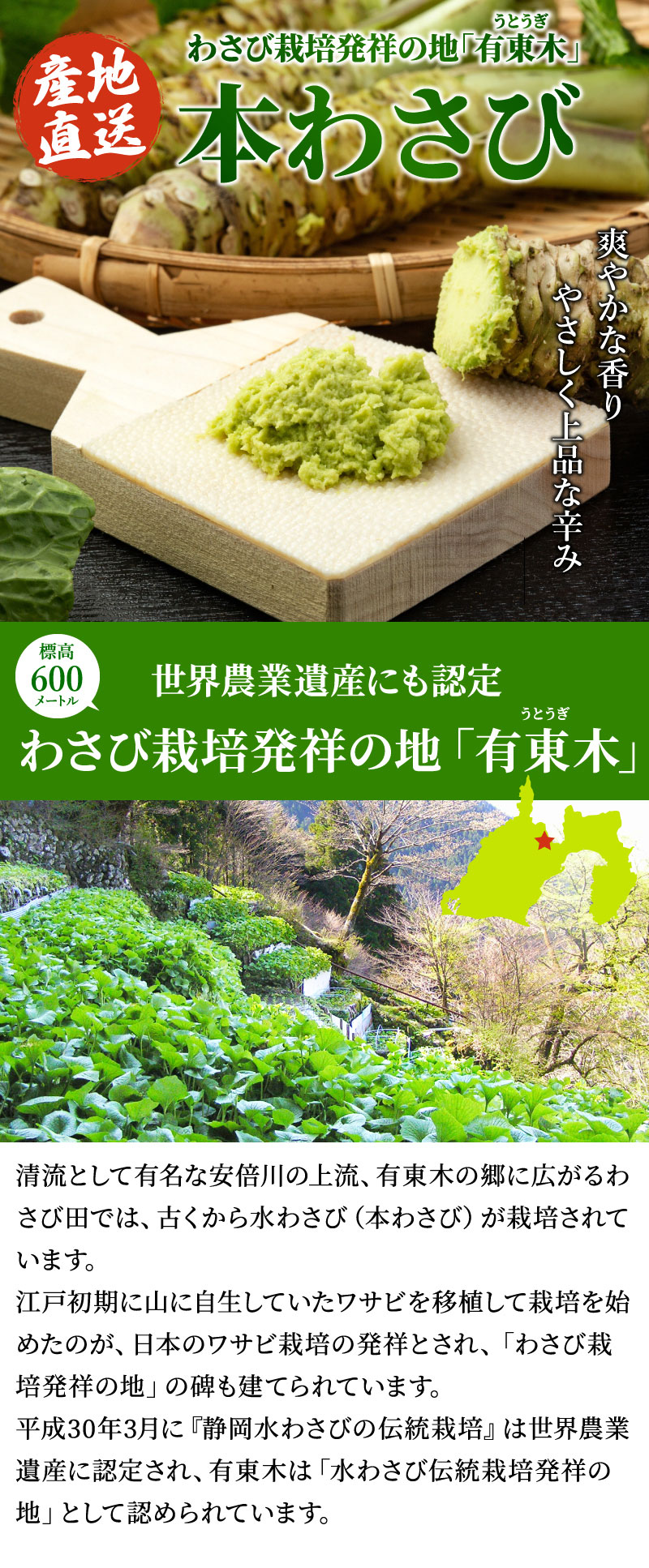 世界農業遺産にも指定。わさび栽培発祥の地「有東木」の本わさび