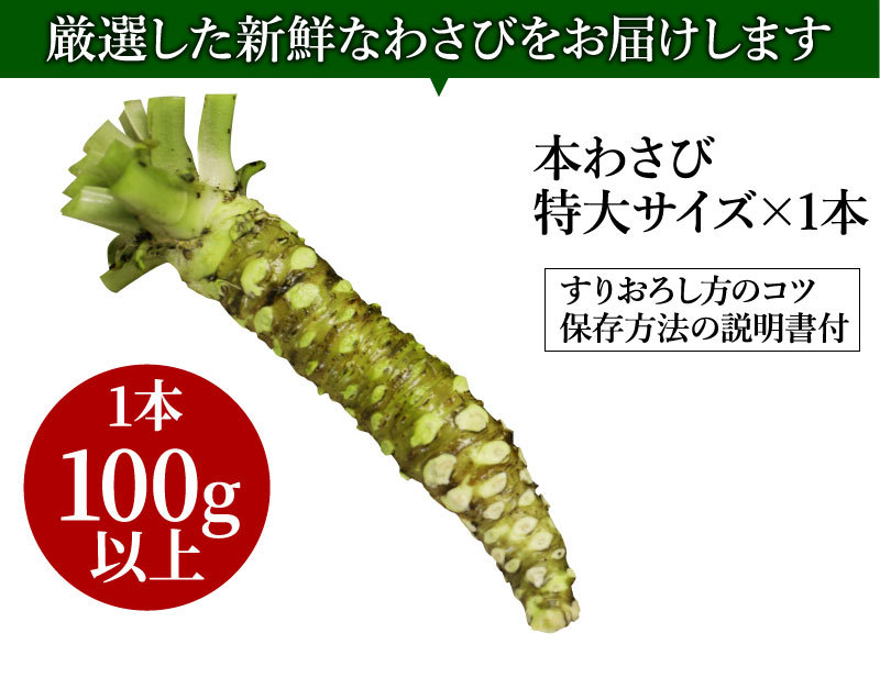 99%OFF!】 ホール 袋 50g GABAN タラゴンみじん切り ギャバン 中華、エスニック調味料