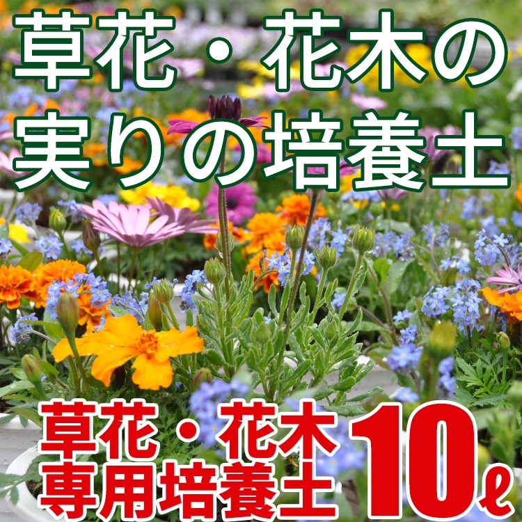 ネルソン入りで固まる 多肉植物寄せ植えの土 1.5リットル ベランダガーデン 室内園芸 家庭菜園 花ごころ 希望者のみラッピング無料 1.5リットル