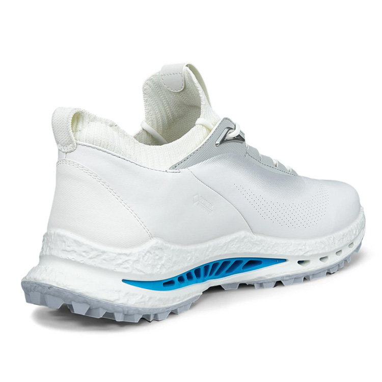 ecco（エコー） スパイクレス メンズ ゴルフシューズ ECCO Golf Biom