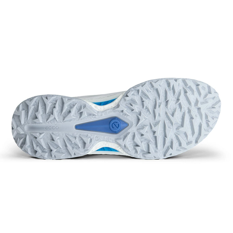 ecco（エコー） スパイクレス メンズ ゴルフシューズ ECCO Golf Biom