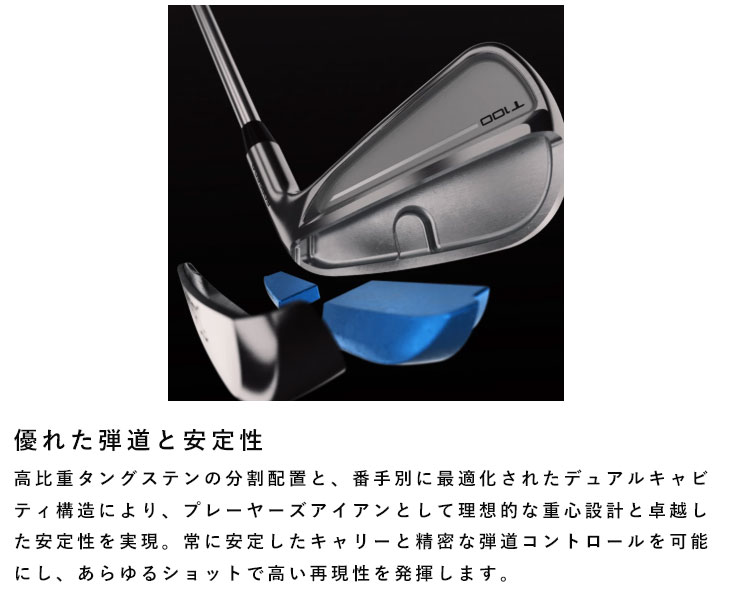 Titleist（タイトリスト） T100アイアン N.S.PRO モーダス3 Tour115