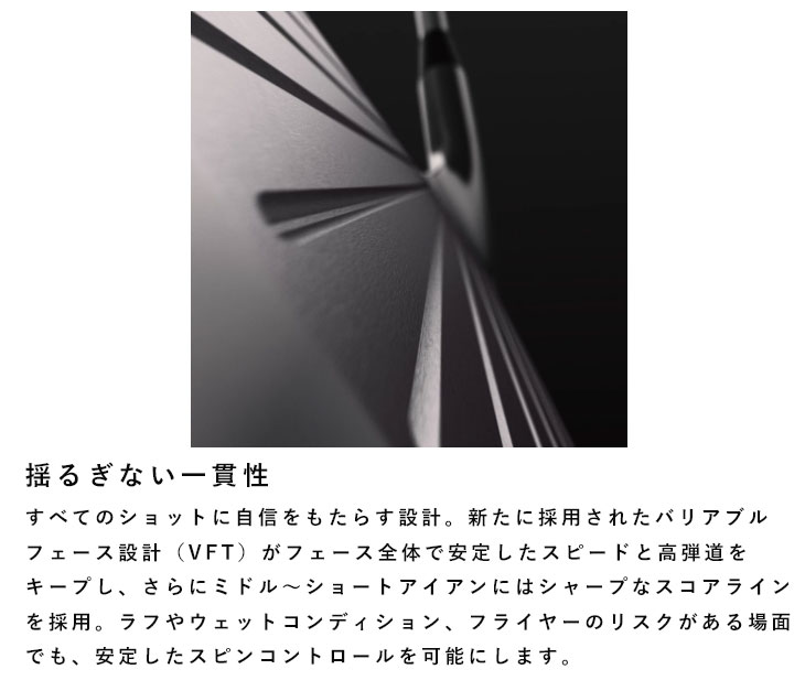 Titleist（タイトリスト） T100アイアン N.S.PRO モーダス3 Tour115