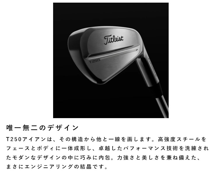 Titleist タイトリスト T250アイアン N.S.PRO 880 AMC シャフト #5-Pw