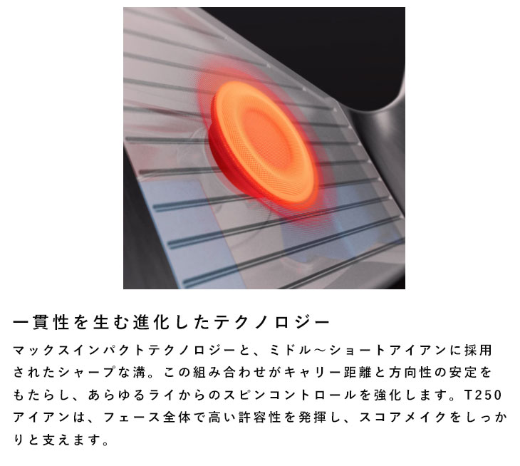 Titleist（タイトリスト） T250アイアン N.S.PRO モーダス3 Tour 105