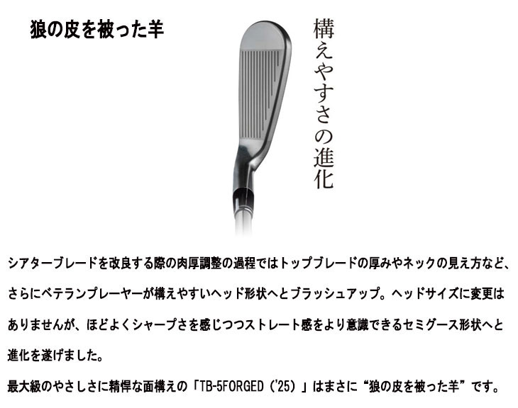 TB-5 フォーティーン　ダイヤモンドブラックサテンFS-90i BK S 6本 FOURTEEN フォーティーン TB-5 フォージド アイアン