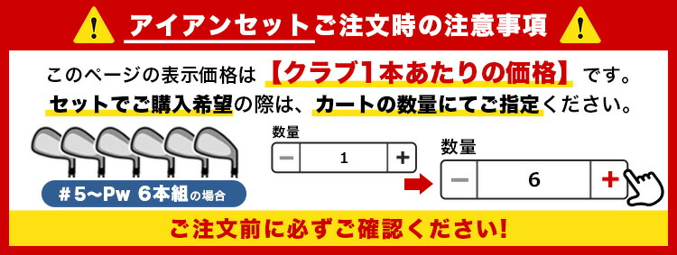 メーカーカスタム】 フォーティーン TB3 フォージド アイアン サテン