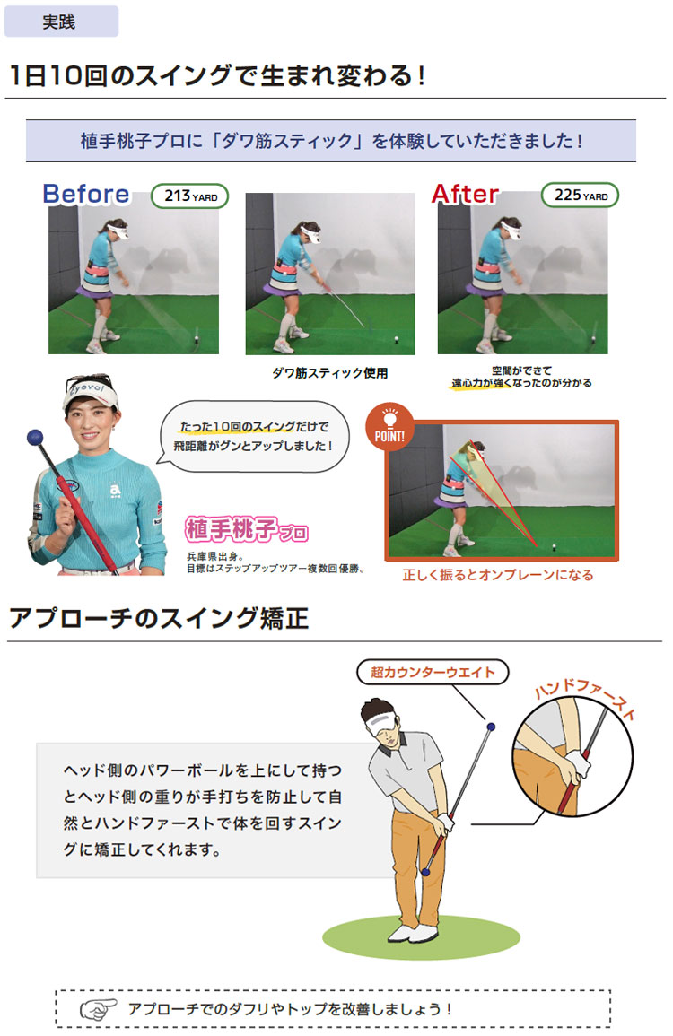 楽天市場】新商品 ダワ筋スティック スタンダードタイプ スイング 練習器 DAWAKIN STICK STANDARD (ターコイズ/グレー)  [公式] Lynx リンクス ゴルフ : リンクスゴルフ 楽天市場店