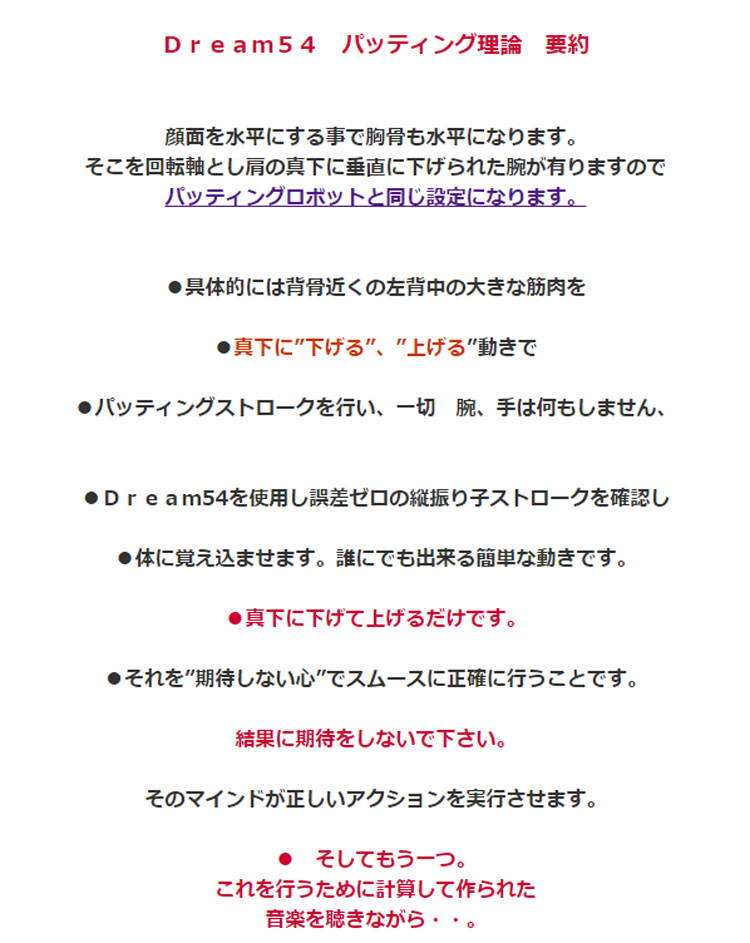 楽天市場】山田パター工房 考案 ドリーム54 パター矯正練習機