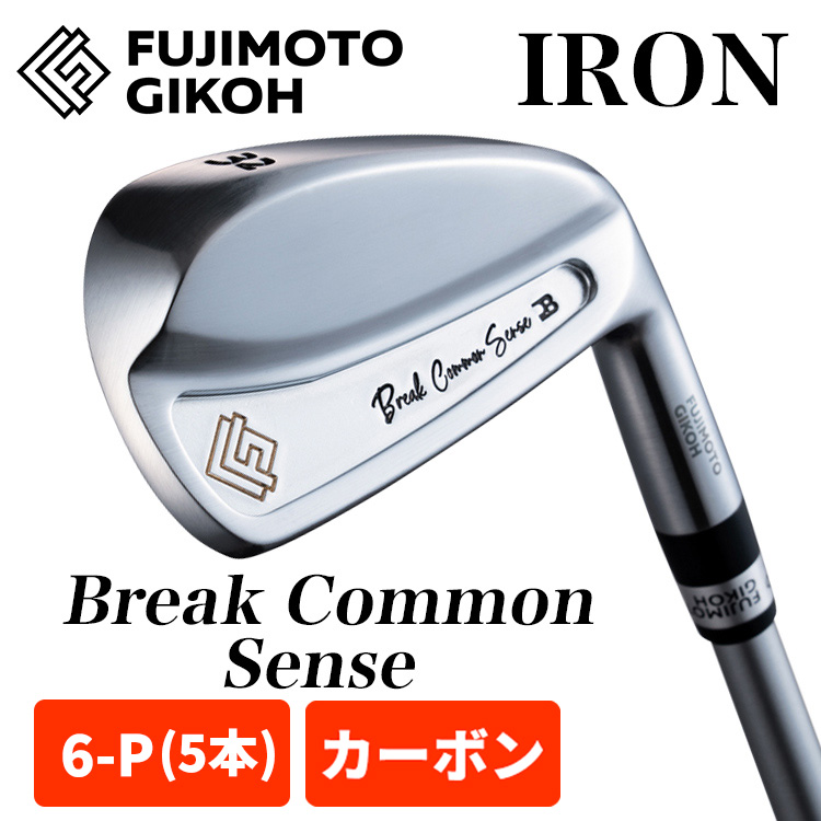 特注カスタム】藤本技工 アイアンセット Break Common Sense Iron #28