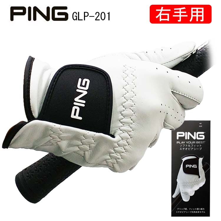 (レフティー・右手用) ピン PING ゴルフグローブ 天然皮革 GL-P201 35074 ネコポス対応
