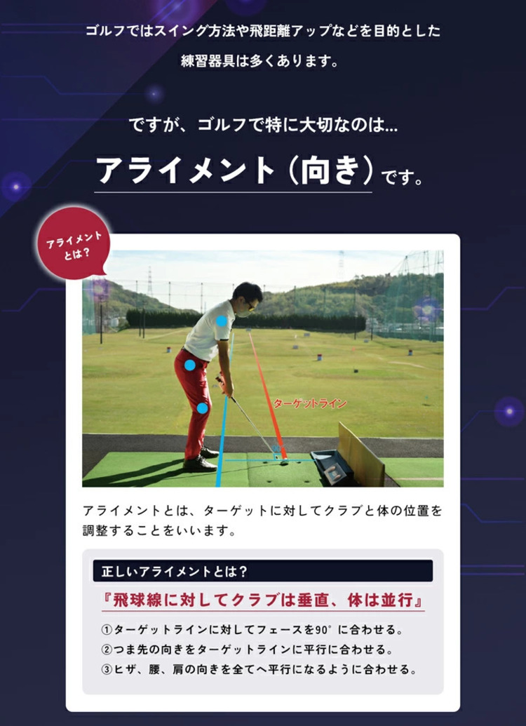 練習器具】リンクス エックスビック エイミングビュー Lynx XVIC